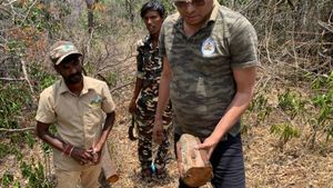 ಮಲೆಮಹದೇಶ್ವರ ಬೆಟ್ಟದಲ್ಲಿ ಶುರುವಾಗಿದೆ ಗಂಧದ ಮರಗಳ ಕಳ್ಳತನ