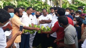 ರೈತರ ಸಾಲ ಮನ್ನಾ ಮಾಡಿದ್ರೂ ಜನ ಕೈ ಹಿಡಿಲಿಲ್ಲ: ಎಚ್ಡಿಕೆ ಬೇಸರ