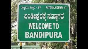 ಬಂಡೀಪುರ ಹುಲಿ ಸಂರಕ್ಷಿತಾರಣ್ಯದಲ್ಲಿ ಅಕ್ರಮ ಕಟ್ಟಡಗಳ ತೆರವಿಗೆ ನೋಟಿಸ್ 
