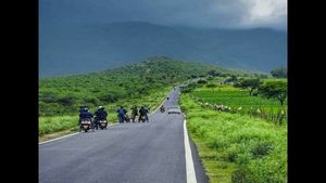 ಮಳೆಗೆ ಮೈತೊಳೆದುಕೊಂಡ ಬಂಡೀಪುರದ ಚೆಲುವ ವನಸಿರಿ...