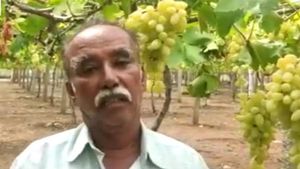  ನೀರಿನ ಕೊರತೆ ನಡುವೆಯೇ ದ್ರಾಕ್ಷಿ ಬೆಳೆದ ಕೋಲಾರ ರೈತನಿಗೆ ಕೊರೊನಾ ಪೆಟ್ಟು