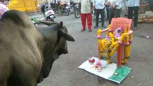 ಬೆಳಗಾವಿಯಲ್ಲಿ ಕೋತಿಯ ಮೃತದೇಹ ಕಂಡು ಕಣ್ಣೀರಿಟ್ಟ ಗೂಳಿ