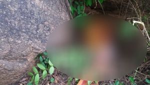  ಮಾಗಡಿಯಲ್ಲಿ ವೃದ್ಧೆ ಮೇಲೆ ಚಿರತೆ ದಾಳಿ; ವಾರದಲ್ಲಿ ಇದು ಎರಡನೇ ಬಲಿ
