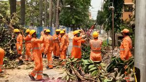 ಸೈಕ್ಲೋನ್ ಕಾರ್ಯಾಚರಣೆಯಲ್ಲಿದ್ದ 49 NDRF ಸಿಬ್ಬಂದಿಗೆ ಕೊರೊನಾ 