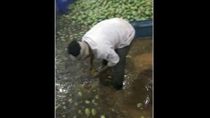  ವಿಡಿಯೋ; ಕೋಲಾರ ಮಾರುಕಟ್ಟೆಯಲ್ಲಿ ಮಳೆಗೆ ಕೊಚ್ಚಿ ಹೋದ ಹಣ್ಣುಗಳು