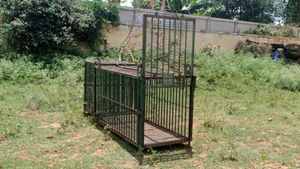  ಗುಂಡ್ಲುಪೇಟೆ ಪಟ್ಟಣದಲ್ಲೇ ಪ್ರತ್ಯಕ್ಷವಾದ ಚಿರತೆ  