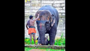 ವೈರಲ್ ಫೋಟೋ; ಕೇಶ ವಿನ್ಯಾಸದಿಂದಲೇ ಎಲ್ಲರ ಗಮನ ಸೆಳೆದ ಆನೆ! 