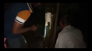 ನಂಬಿಕೆ: ಕೊರೊನಾವೈರಸ್‌ಗೆ ರಾಮಬಾಣ ಹಾಲೆ ಮರದ ರಸ!