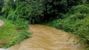  ಕೊಡಗಿನಲ್ಲಿ ತಗ್ಗಿದ ಮಳೆರಾಯ; ಜಿಲ್ಲೆಯ ಮಳೆ ವಿವರ...