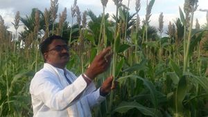 ದಾವಣಗೆರೆಯಲ್ಲೊಬ್ಬ ಹಸಿವಿಗೆ ಅನ್ನದಾತ, ಕಷ್ಟಕ್ಕೆ ಮಿಡಿವ ಹೃದಯವಂತ