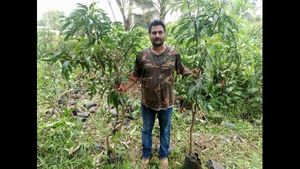 ಕೈ ಹಿಡಿದ ಇಸ್ರೇಲಿ ಕೃಷಿ; ಹಳಿಯಾಳದ ಎಂಬಿಎ ಪದವೀಧರನ ಕೃಷಿಗಾಥೆ