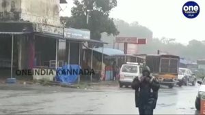 ಚಿಕ್ಕಮಗಳೂರು: ಕೊಪ್ಪ, ಮೂಡಿಗೆರೆ, ಶೃಂಗೇರಿ ಹೋಬಳಿವಾರು ಮಳೆ ವಿವರ