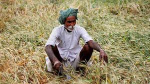 ಏನಕ್ಕೂ ಸಾಲದ ಎಂಎಸ್‌ಪಿ: ಕೇಂದ್ರದ ವಿರುದ್ಧ ರೈತರ ಆಕ್ರೋಶ