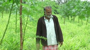 ಕೋಲಾರದ ರೈತನಿಗೆ ಲಾಭದ ದಾರಿ ತೋರಿದ ಶುಂಠಿ ಬೆಳೆ