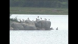 ಹತ್ತು ವರ್ಷಗಳ ನಂತರ ಕಳೆಗಟ್ಟಿದೆ ಕೋಲಾರದ 