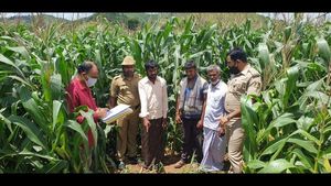  ದಾವಣಗೆರೆ; ಬ್ಯಾಂಕ್ ಸಾಲ ಮನ್ನಾ ಆಗಲೆಂದು ಹೆಂಡತಿಯನ್ನೇ ಕೊಂದ ಗಂಡ