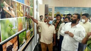 ರಾಮನಗರದ ರಣಹದ್ದುಗಳ ಸಂರಕ್ಷಣೆಗೆ ಫೀಡಿಂಗ್ ಕ್ಯಾಂಪ್ 