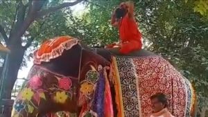  ಆನೆ ಮೇಲೆ ಯೋಗ ಮಾಡಲು ಹೋಗಿ ಉರುಳಿ ಬಿದ್ದ ರಾಮ್‌ದೇವ್: ವೈರಲ್ ವಿಡಿಯೋ