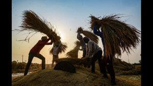 ಚಾಮರಾಜನಗರದಲ್ಲಿ ರೈತರ 