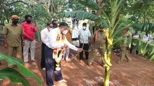  ಜಾನಪದ ಕಾಶಿಯಲ್ಲಿ ಸರಳ ದಸರಾ ಆಚರಣೆ;  ಬೊಂಬೆ ಪ್ರದರ್ಶನ