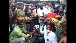 ಎಚ್.​ಡಿ ಕುಮಾರಸ್ವಾಮಿಗೆ ಕುರಿಮರಿ ನೀಡಿ ಋಣಭಾರ ತೀರಿಸಿದ ರೈತರು