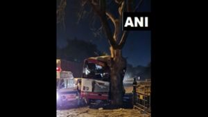 ದೆಹಲಿ: ನಿಯಂತ್ರಣ ತಪ್ಪಿ ಮರಕ್ಕೆ ಬಸ್ ಡಿಕ್ಕಿ, 12 ಮಂದಿಗೆ ಗಾಯ 