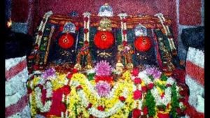ಹಾಸನದಲ್ಲಿ ಹಾಸನಾಂಬೆ ದರ್ಶನಕ್ಕೆ ಭಕ್ತರಿಗೆ ಕೊರೊನಾ ಅಡ್ಡಿ! 