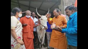 ಗೋವು ಇದ್ದ ಮನೆ ಭಾಗ್ಯಶಾಲಿ: ಸಚಿವ ಪ್ರಭು ಚವ್ಹಾಣ್