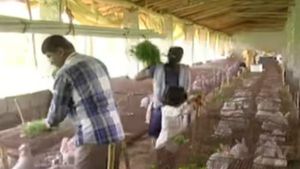  ಮೊಲ ಸಾಕಣೆ; ಹವ್ಯಾಸವನ್ನೇ ಆದಾಯವಾಗಿಸಿಕೊಂಡ ಕೋಲಾರದ ಉಪನ್ಯಾಸಕ