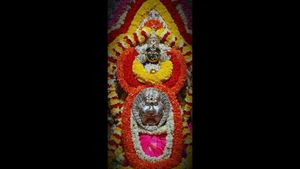 ಬಾಗಲಕೋಟೆ: ಪ್ರಸಿದ್ಧ ಬನಶಂಕರಿ ಜಾತ್ರೆ, ರಥೋತ್ಸವ ರದ್ದು