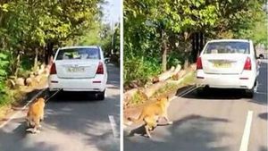ವಿಡಿಯೋ ವೈರಲ್; ನಾಯಿ ಕುತ್ತಿಗೆಗೆ ಹಗ್ಗ ಕಟ್ಟಿ ಕಾರು ಓಡಿಸಿದ ವ್ಯಕ್ತಿ