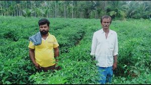  ಲಕ್ಷ್ಮೀಪುರದ ರೈತನ ಸಂಕಷ್ಟ ನಿವಾರಿಸಿದ ಮೆಣಸಿನಕಾಯಿ