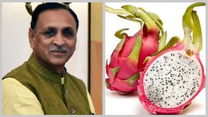 ಡ್ರ್ಯಾಗನ್ ಫ್ರೂಟ್‌ಗೆ ಮರುನಾಮಕಾರಣ ಮಾಡಿದ ಗುಜರಾತ್ ಸರ್ಕಾರ; ಹೊಸ ಹೆಸರೇನು?