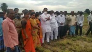 Oneindia Impact; ಕಡಲೆ ಬೆಳೆ ಹಾನಿ ಪರಿಶೀಲನೆ ನಡೆಸಿದ ಆರ್. ಅಶೋಕ 