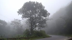 ಚಾರ್ಮಾಡಿ ಘಾಟ್ ವಾಹನ ಸವಾರರ ಗಮನಕ್ಕೆ 