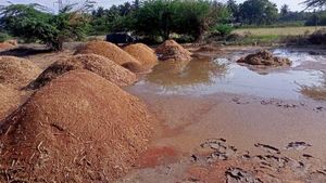 ಕಡೂರು; ಮಳೆ ಅಬ್ಬರ, ಕೊಚ್ಚಿ ಹೋಯಿತು ರಾಗಿ