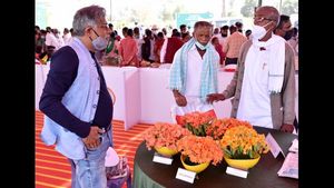 ಸಂಕಷ್ಟದಲ್ಲಿದ್ದ ಮಂಡ್ಯ ರೈತರಿಗೆ ಕನಕಾಂಬರದಿಂದ ಕನಕವೃಷ್ಠಿ ಆಗಿದ್ದು ಹೇಗೆ? 