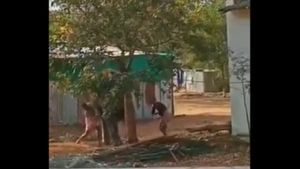 ವೈರಲ್ ವಿಡಿಯೋ; ಆದೇಶ ಪಾಲಿಸದ ಆನೆಗೆ ಮನಬಂದಂತೆ ಥಳಿಸಿದ ಮಾವುತರು