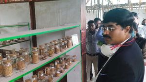 ಮಂಡ್ಯದ ರೈತನ ಮನೆಯೀಗ ಭತ್ತ ವೈವಿಧ್ಯ ಕೇಂದ್ರ! 