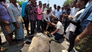 ಹೊನ್ನಾಳಿ; ಹೋರಿ ಬೆದರಿಸುವ ಸ್ಪರ್ಧೆ; ರಸ್ತೆ ಅಪಘಾತದಲ್ಲಿ ಹೋರಿ ಸಾವು 