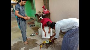 ಚಿತ್ರದುರ್ಗ; ಆತಂಕ ಮೂಡಿಸಿದ ಮಂಗಗಳ ಸರಣಿ ಸಾವು 