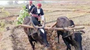 ಮಡಿಕೇರಿ ವಿಶೇಷ; ಕೊಡವರ ಹೊಸ ವರ್ಷ ಎಡಮ್ಯಾರ್‌