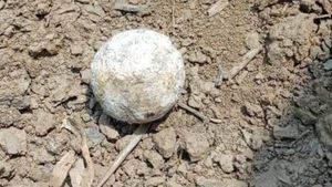 ಮುಂಡಗೋಡ; ದನದ ಬಾಯಲ್ಲಿ ಕೈಬಾಂಬ್ ಸ್ಫೋಟ, ತೀವ್ರಗಾಯ 