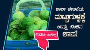ಉಡುಪಿಯ ಮಟ್ಟುಗುಳ್ಳ ಕೃಷಿಕರಿಗೆ ಉಪ್ಪು ನೀರ ಶಾಪ! 