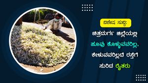 ಚಿತ್ರದುರ್ಗ: ಲಾಕ್‌ಡೌನ್ ಪರಿಣಾಮದಿಂದ ಹೂ ಬೆಳೆಗಾರರಿಗೆ ಭಾರೀ ನಷ್ಟ 