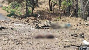 ಮಹಾರಾಷ್ಟ್ರ ಪೊಲೀಸರ ಕಾರ್ಯಾಚರಣೆ: 13 ನಕ್ಸಲರು ಎನ್‌ಕೌಂಟರ್‌ನಲ್ಲಿ ಹತ್ಯೆ