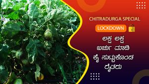 ಚಿತ್ರದುರ್ಗ ವಿಶೇಷ; ಲಕ್ಷ ಲಕ್ಷ ಖರ್ಚು ಮಾಡಿ ಕೈ ಸುಟ್ಟುಕೊಂಡ ರೈತರು
