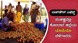 ಲಾಕ್‌ಡೌನ್ ಎಫೆಕ್ಟ್: ಸಂಕಷ್ಟದಲ್ಲಿ ಕೋಲಾರ ಜಿಲ್ಲೆಯ ಟೊಮೆಟೊ ಬೆಳೆಗಾರರು