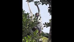 ಭಟ್ಕಳ: ‘ಡಿಜಿಟಲ್ ಇಂಡಿಯಾ’ ಪರಿಕಲ್ಪನೆ ನಾಚಿಸುವಂತಿದೆ ಈ ಊರಿನ ಪರಿಸ್ಥಿತಿ 