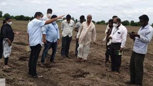 ಮಿಡತೆ, ಬಸವನ ಹುಳು ಹಾವಳಿಯಿಂದ ಬೆಳೆ ರಕ್ಷಿಸಲು ಸಲಹೆಗಳು 